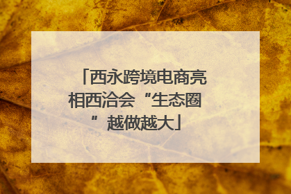 西永跨境电商亮相西洽会“生态圈”越做越大