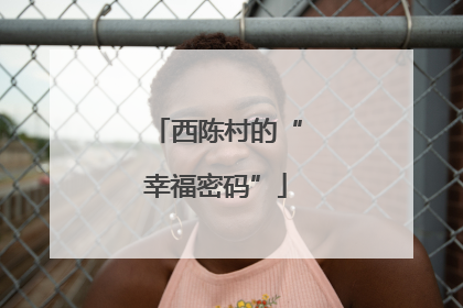 西陈村的“幸福密码”