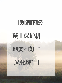 观潮的螃蟹丨保护耕地要打好“文化牌”