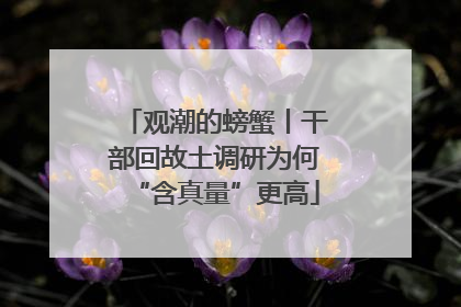 观潮的螃蟹丨干部回故土调研为何“含真量”更高