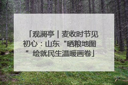 观澜亭｜麦收时节见初心：山东“晒粮地图”绘就民生温暖画卷