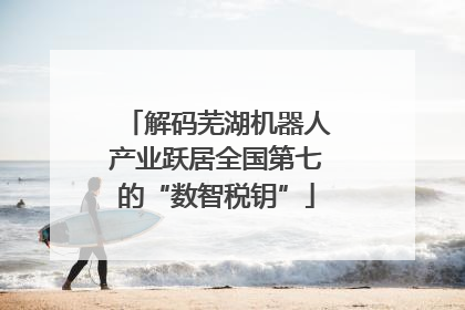 解码芜湖机器人产业跃居全国第七的“数智税钥”