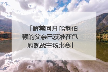 解禁回归 哈利伯顿的父亲已获准在包厢观战主场比赛