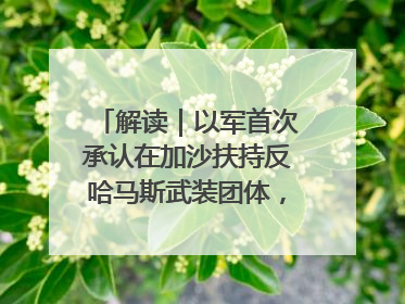 解读｜以军首次承认在加沙扶持反哈马斯武装团体，影响几何？