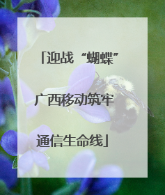迎战“蝴蝶” 广西移动筑牢通信生命线