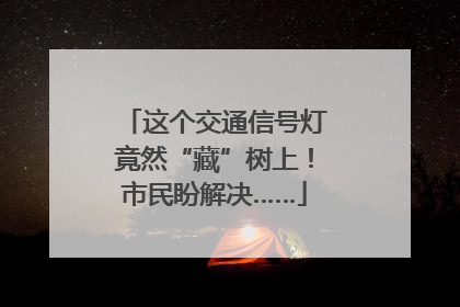 这个交通信号灯竟然“藏”树上！市民盼解决……