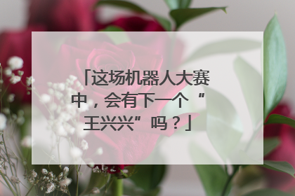 这场机器人大赛中，会有下一个“王兴兴”吗？
