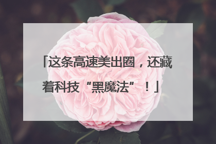 这条高速美出圈，还藏着科技“黑魔法”！