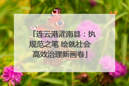 连云港灌南县：执规范之笔 绘就社会高效治理新画卷
