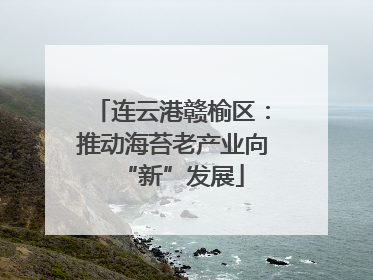 连云港赣榆区：推动海苔老产业向“新”发展