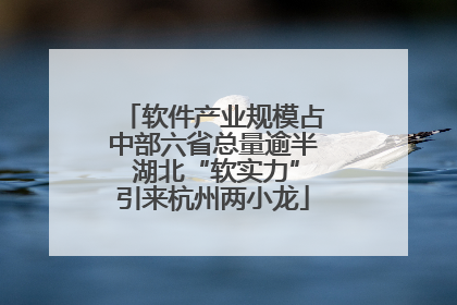 软件产业规模占中部六省总量逾半 湖北“软实力”引来杭州两小龙