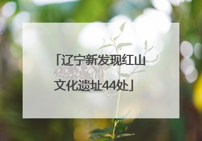 辽宁新发现红山文化遗址44处