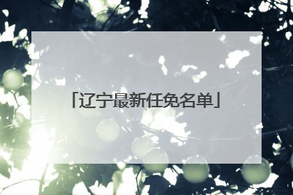 辽宁最新任免名单