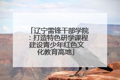 辽宁雷锋干部学院：打造特色研学课程 建设青少年红色文化教育高地