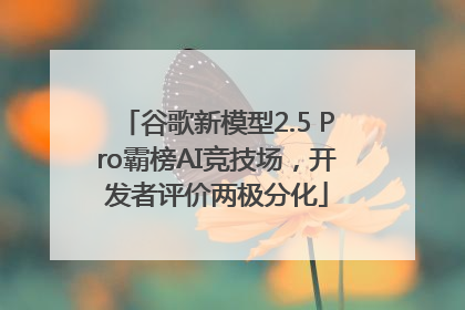 谷歌新模型2.5 Pro霸榜AI竞技场，开发者评价两极分化