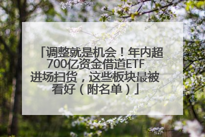 调整就是机会！年内超700亿资金借道ETF进场扫货，这些板块最被看好（附名单）