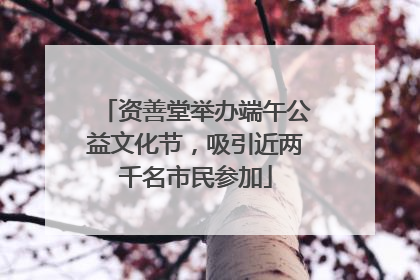 资善堂举办端午公益文化节，吸引近两千名市民参加