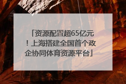 资源配置超65亿元！上海搭建全国首个政企协同体育资源平台