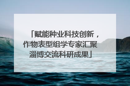 赋能种业科技创新，作物表型组学专家汇聚淄博交流科研成果