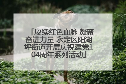 赓续红色血脉 凝聚奋进力量 永定区阳湖坪街道开展庆祝建党104周年系列活动