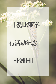 赞比亚举行活动纪念非洲日