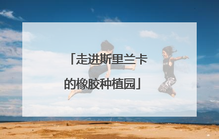 走进斯里兰卡的橡胶种植园