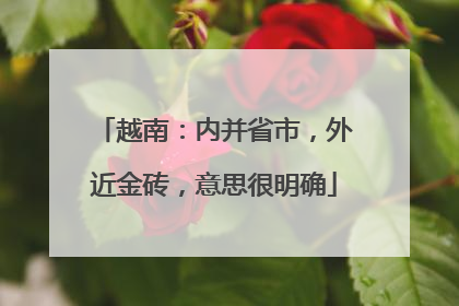 越南：内并省市，外近金砖，意思很明确