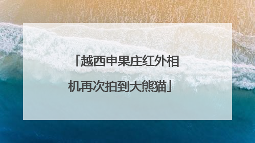 越西申果庄红外相机再次拍到大熊猫