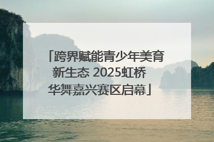 跨界赋能青少年美育新生态 2025虹桥华舞嘉兴赛区启幕