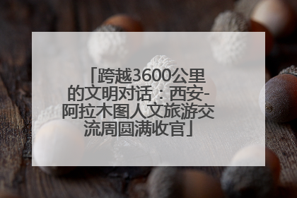 跨越3600公里的文明对话：西安-阿拉木图人文旅游交流周圆满收官