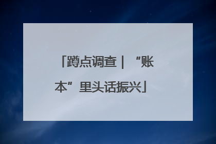 蹲点调查｜“账本”里头话振兴