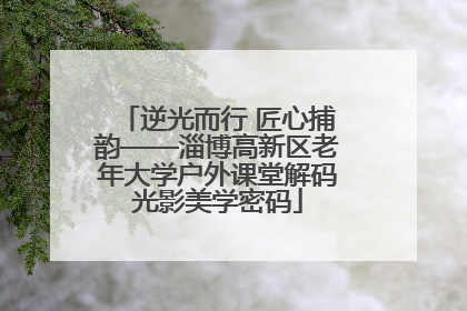 逆光而行 匠心捕韵——淄博高新区老年大学户外课堂解码光影美学密码