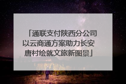 通联支付陕西分公司以云商通方案助力长安唐村绘就文旅新图景