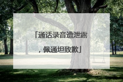 通话录音遭泄露，佩通坦致歉