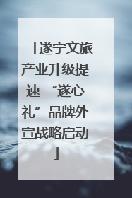 遂宁文旅产业升级提速 “遂心礼”品牌外宣战略启动