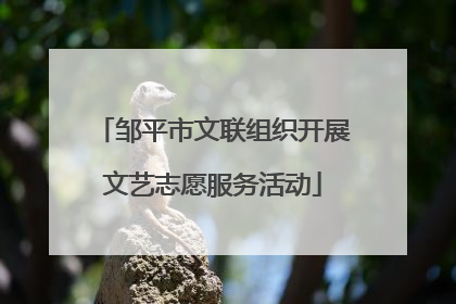 邹平市文联组织开展文艺志愿服务活动