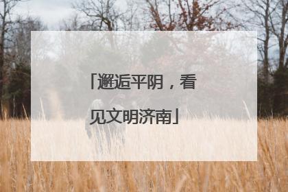 邂逅平阴，看见文明济南