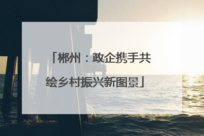 郴州：政企携手共绘乡村振兴新图景