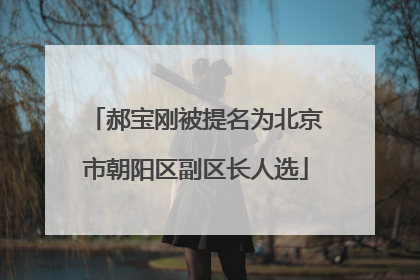 郝宝刚被提名为北京市朝阳区副区长人选