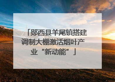 郧西县羊尾镇搭建调制大棚激活烟叶产业“新动能”