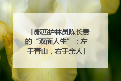 郧西护林员陈长贵的“双面人生”：左手青山，右手亲人