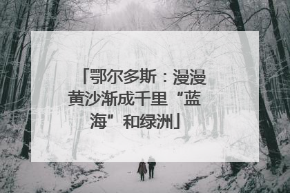 鄂尔多斯：漫漫黄沙渐成千里“蓝海”和绿洲