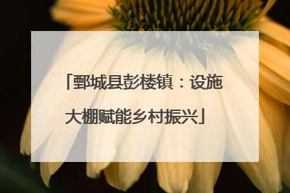 鄄城县彭楼镇：设施大棚赋能乡村振兴