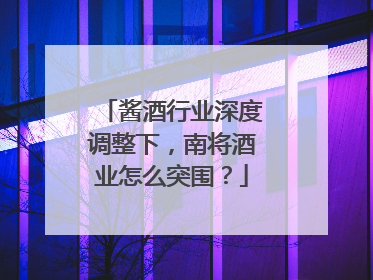 酱酒行业深度调整下，南将酒业怎么突围？