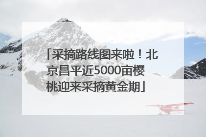 采摘路线图来啦！北京昌平近5000亩樱桃迎来采摘黄金期