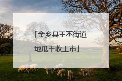 金乡县王丕街道地瓜丰收上市