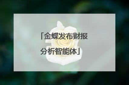 金蝶发布财报分析智能体