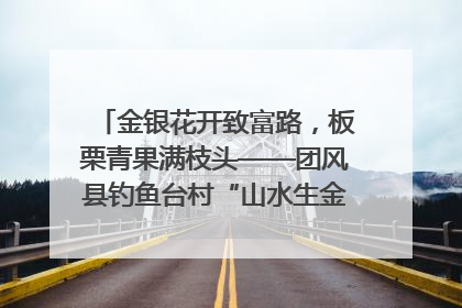 金银花开致富路，板栗青果满枝头——团风县钓鱼台村“山水生金”谱写共富新篇章