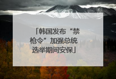 韩国发布“禁枪令”加强总统选举期间安保