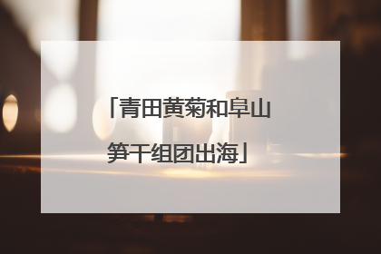 青田黄菊和阜山笋干组团出海
